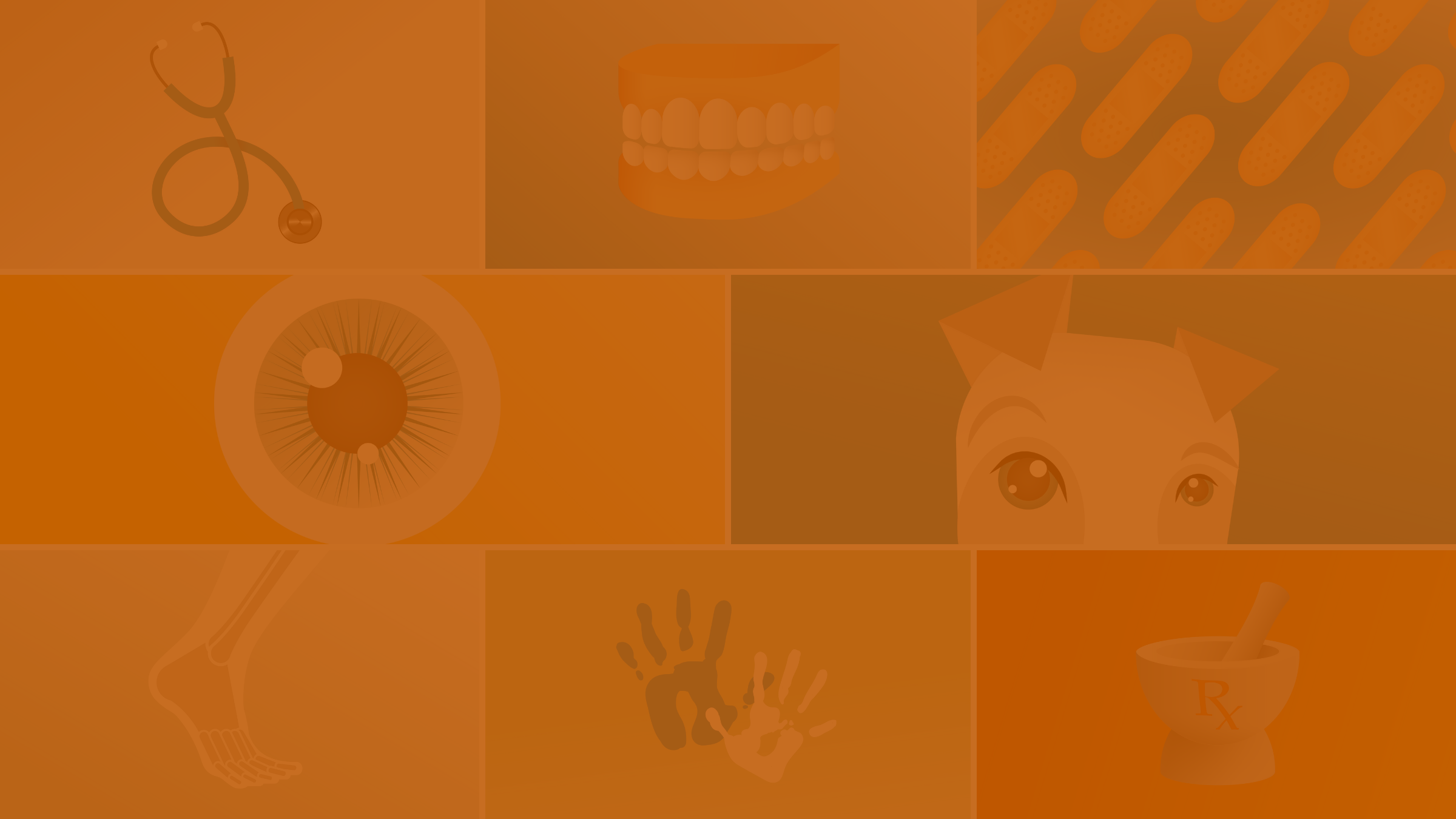 Home Health Professions Office